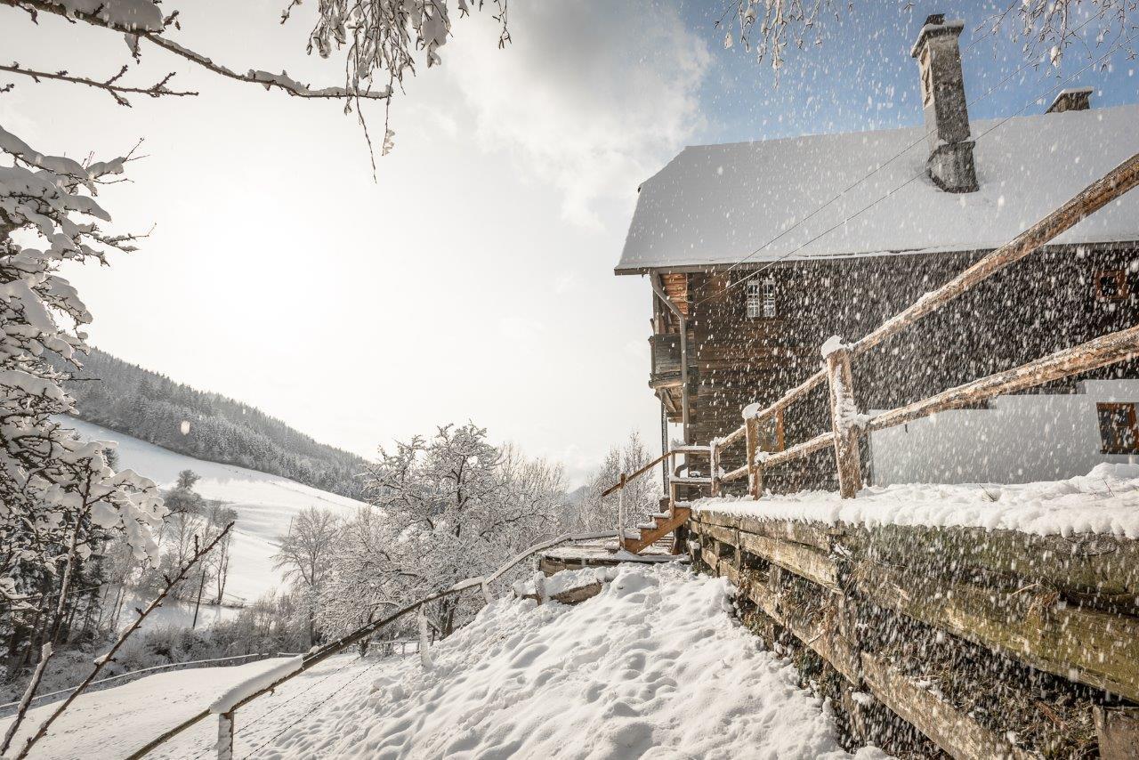 Urlaub Auf Der Alm "Deluxe" Villa Preggraben Exterior foto
