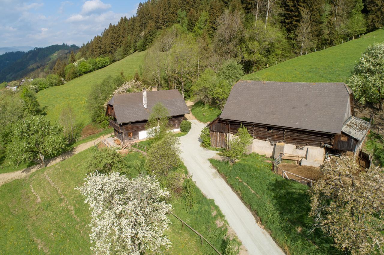 Urlaub Auf Der Alm "Deluxe" Villa Preggraben Exterior foto