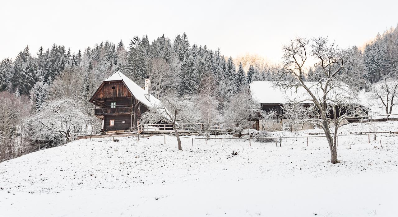 Urlaub Auf Der Alm "Deluxe" Villa Preggraben Exterior foto